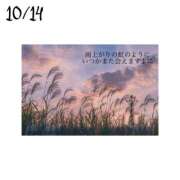 ヒメ日記 2025/10/15 04:55 投稿 羽田みう 奴隷志願！変態調教飼育クラブ梅田店