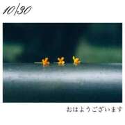 ヒメ日記 2025/10/30 09:45 投稿 羽田みう 奴隷志願！変態調教飼育クラブ梅田店