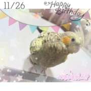 ヒメ日記 2025/12/11 07:09 投稿 羽田みう 奴隷志願！変態調教飼育クラブ梅田店