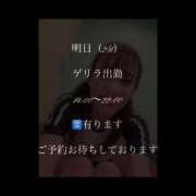 ヒメ日記 2026/02/05 22:55 投稿 羽田みう 奴隷志願！変態調教飼育クラブ梅田店