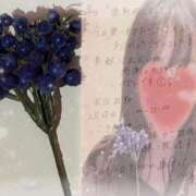 ヒメ日記 2026/02/25 00:50 投稿 羽田みう 奴隷志願！変態調教飼育クラブ梅田店