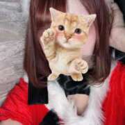 ヒメ日記 2025/12/23 00:09 投稿 りんね あふたーすくーる本店