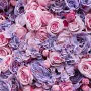 ヒメ日記 2026/02/02 20:02 投稿 みさき メンエス案内所