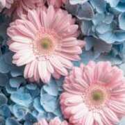 ヒメ日記 2026/02/18 17:27 投稿 みさき メンエス案内所