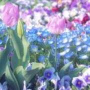 ヒメ日記 2026/03/20 20:13 投稿 みさき メンエス案内所