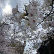 ヒメ日記 2026/04/01 19:41 投稿 みさき メンエス案内所