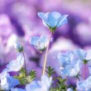 ヒメ日記 2026/04/17 22:19 投稿 みさき メンエス案内所