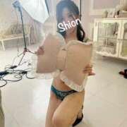 ヒメ日記 2025/10/31 17:48 投稿 紫苑 Salon du M-えっちなお姉さんのM性感デリバリー-五反田店