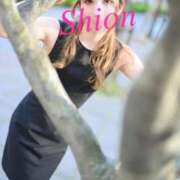 紫苑 御礼と、空き枠のご案内💗 Salon du M-えっちなお姉さんのM性感デリバリー-五反田店