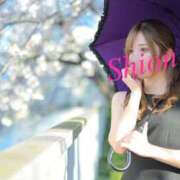 紫苑 完売〜✌️ Salon du M-えっちなお姉さんのM性感デリバリー-五反田店