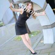 ヒメ日記 2026/04/21 13:48 投稿 紫苑 Salon du M-えっちなお姉さんのM性感デリバリー-五反田店