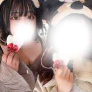 ヒメ日記 2025/11/14 23:02 投稿 うさ 川越ぽちゃまに