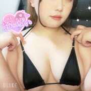 ヒメ日記 2025/11/19 16:32 投稿 うさ 川越ぽちゃまに