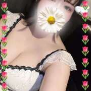 ヒメ日記 2025/09/04 03:39 投稿 さやか ピンキーエコ