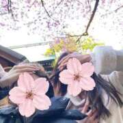 ヒメ日記 2026/04/22 07:58 投稿 りんか 聖女(マリア)