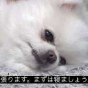 ヒメ日記 2025/09/23 09:39 投稿 さやか 素人妻御奉仕倶楽部Hip's松戸店