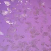 ヒメ日記 2025/12/27 15:39 投稿 さやか 素人妻御奉仕倶楽部Hip's松戸店