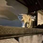 ヒメ日記 2025/12/11 12:19 投稿 すみれ 素人妻御奉仕倶楽部Hip's松戸店