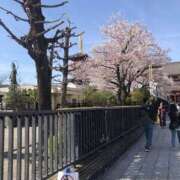 ヒメ日記 2025/12/13 12:12 投稿 すみれ 素人妻御奉仕倶楽部Hip's松戸店