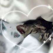 ヒメ日記 2025/11/04 13:00 投稿 せな 横浜人妻セレブリティ（ユメオト）