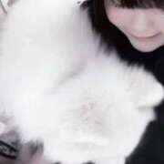 ヒメ日記 2025/09/15 13:22 投稿 なな 池袋サンキュー