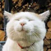 ヒメ日記 2025/09/01 18:15 投稿 みゆ 熟女の風俗最終章 沼津店