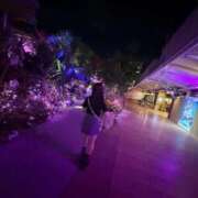 ヒメ日記 2025/11/13 21:43 投稿 りんご ニューグランド