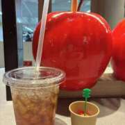 ヒメ日記 2025/12/23 18:33 投稿 りんご ニューグランド