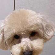 ヒメ日記 2026/01/28 17:05 投稿 りんご ニューグランド