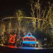 ヒメ日記 2026/01/29 21:53 投稿 りんご ニューグランド