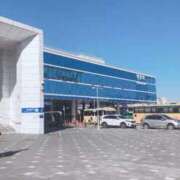 ヒメ日記 2026/02/12 20:33 投稿 りんご ニューグランド