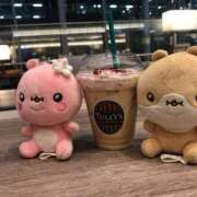 ヒメ日記 2026/02/13 12:23 投稿 りんご ニューグランド