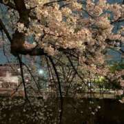 ヒメ日記 2026/03/30 20:16 投稿 りんご ニューグランド