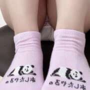 ヒメ日記 2025/11/06 23:41 投稿 さつき ローズ～ミドルエイジ～