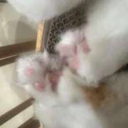 ヒメ日記 2025/10/27 12:25 投稿 なお MINT（ミント）