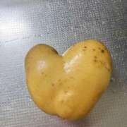 ヒメ日記 2025/11/08 07:35 投稿 はな ローズ～ミドルエイジ～