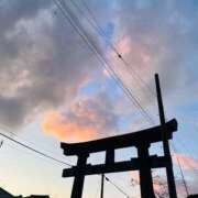 ヒメ日記 2025/11/20 23:07 投稿 はな ローズ～ミドルエイジ～