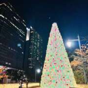 ヒメ日記 2025/11/27 21:56 投稿 はな ローズ～ミドルエイジ～