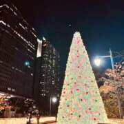 ヒメ日記 2025/11/27 22:20 投稿 はな ローズ～ミドルエイジ～