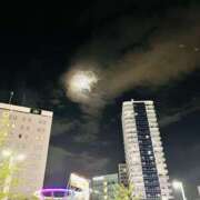 ヒメ日記 2025/12/03 06:29 投稿 はな ローズ～ミドルエイジ～