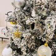 ヒメ日記 2025/12/11 21:35 投稿 はな ローズ～ミドルエイジ～