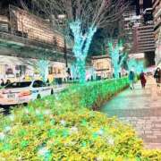 ヒメ日記 2025/12/15 21:57 投稿 はな ローズ～ミドルエイジ～