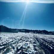 ヒメ日記 2026/01/16 23:20 投稿 はな ローズ～ミドルエイジ～