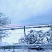 ヒメ日記 2026/02/09 22:05 投稿 はな ローズ～ミドルエイジ～