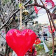 ヒメ日記 2026/02/25 07:20 投稿 はな ローズ～ミドルエイジ～