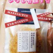 ひな 11 ローズ～ミドルエイジ～