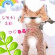 ヒメ日記 2026/05/04 20:22 投稿 るる ローズ～ミドルエイジ～