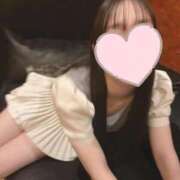 ヒメ日記 2025/09/29 20:21 投稿 せいら 高級オナクラ　ひよこクラブ