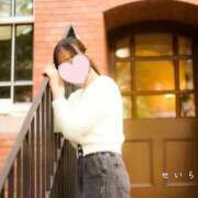 ヒメ日記 2025/10/17 20:11 投稿 せいら 高級オナクラ　ひよこクラブ