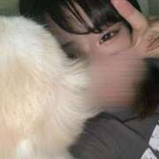 ひな まだまだ 君とふわふわプリンセスin川越